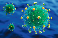 Eine computergenerierte, vereinfachte Darstellung von HIV-Partikeln. Quelle: Shutterstock BioMedical