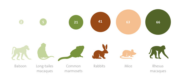 Number and species of experimental animals at DPZ in 2023. Graphic: Susanne Schumacher