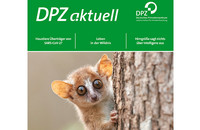 Titelseite DPZ aktuell 4/2020. Layout: Heike Klensang